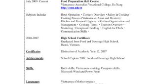 Law Student Resume with No Legal Experience Resume Template for College Students with No Experience
