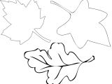 Leaf Cut Outs Templates Diy Paper Leaves Broadway Paper