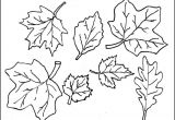 Leaf Cut Outs Templates Leaf Template Printable Leaf Templates Free Premium