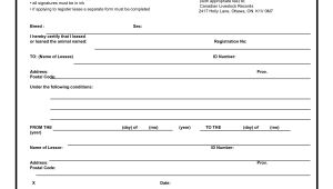 Leasing Contract Template 39 Excellent Rental Lease and Agreement Template Examples