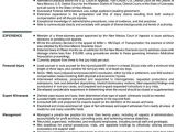 Legal Advisor Resume format Word Principal attorney Resume Example Law attorney and