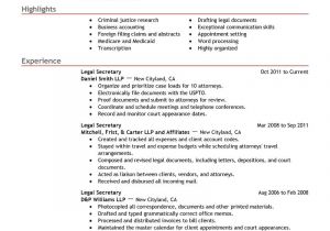 Legal assistant Resume Samples 13 Amazing Law Resume Examples Livecareer