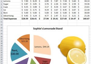 Lemonade Stand Business Plan Template Excel Lesson Plan Lemonade Stand K 5 Computer Lab