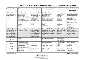 Lesson Plan Template for Differentiated Instruction Mrs Cook 39 S Blog How to Differentiate Your Lessons