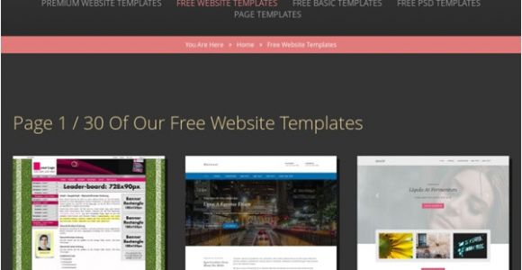 Light Cms Templates Light Cms Templates Free Template Design