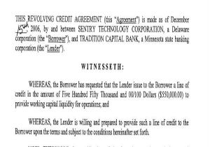 Line Of Credit Contract Template 9 Credit Agreements Free Word Pdf format Download