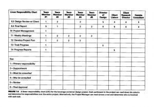 Linear Responsibility Chart Template Responsibility Chart Template 11 Free Sample Example