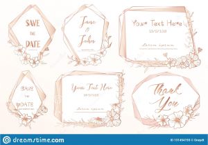 Lines for Wedding Card Invitation Set Of Geometric Frame Hand Drawn Flowers Botanical