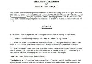 Llc Business Plan Template 30 Professional Llc Operating Agreement Templates