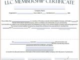 Llc Membership Certificate Template 15 Membership Certificate Templates Free Samples