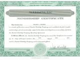 Llc Membership Certificate Template to Learn More About How I Started My Business Back In 2001