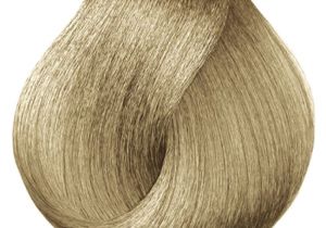 Loreal Professional Hair Colour Shade Card L oreal Majirel No 8 31 Permanent Hair Color Blonde Light Golden ash 50 Ml