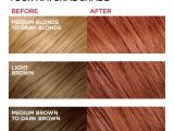 Loreal Professional Hair Colour Shade Card L oreal Paris Excellence Cra Me Permanent Hair Color 6r