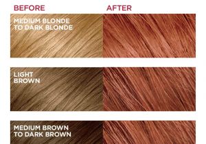 Loreal Professional Hair Colour Shade Card L oreal Paris Excellence Cra Me Permanent Hair Color 6r