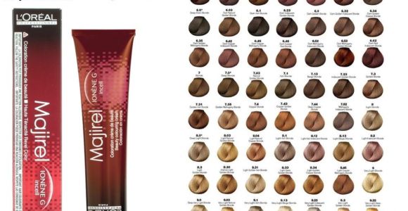 Loreal Professional Hair Colour Shade Card Pin by Paula Farias On Ideias De Cabelo Hair Color Chart