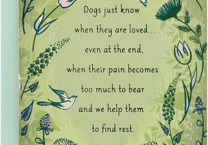 Lost America the Beautiful Card Hallmark Sympathy Loss Of Dog Card Dogs Just Know