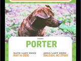 Lost Animal Flyer Template Find Your Lost Pet