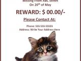 Lost Cat Flyer Template Word 10 Missing Lost Pet Poster Templates Free Word Templates