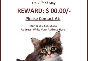 Lost Cat Flyer Template Word 10 Missing Lost Pet Poster Templates Free Word Templates