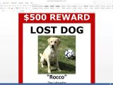 Lost Dog Flyer Template Word Lost Dog Poster Template Free Download Ms Word Youtube