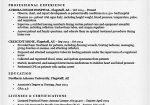 Lpn Resume Sample Licensed Practical Nurse Lpn Resume Sample Tips
