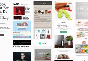 Mailchimp Email Templates Download Beautiful Emails with Mailchimp Dance Studio Pro