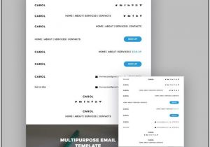 Mailchimp Mobile Templates Auto Responsive Website Template Resume Examples
