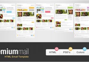 Mailchimp Premium Templates Mailchimp Premium Templates