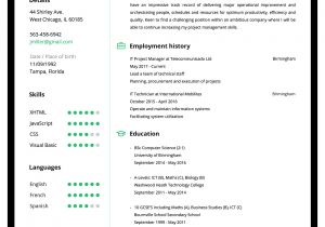 Make A Basic Resume Online Online Resume Builder Create A Perfect Resume In 5 Minutes