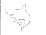 Mako Template attachment Browser Shark Template Png by Aircontrol Rc
