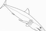 Mako Template Mako Shark Pages Coloring Pages