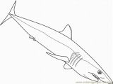 Mako Template Mako Shark Pages Coloring Pages
