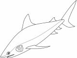 Mako Templates Mako Shark Coloring Download Mako Shark Coloring