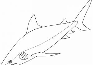 Mako Templates Mako Shark Coloring Download Mako Shark Coloring
