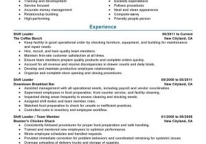 Management Faculty Resume Sample 11 Amazing Management Resume Examples Livecareer