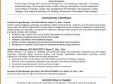 Manager Resume format Word 5 Project Manager Resume Template Microsoft Word