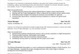 Manager Resume format Word Project Manager Resume Full Guide 12 Examples Word