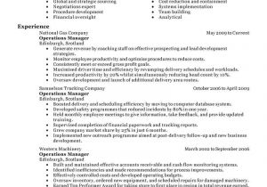 Manager Resume Sample 11 Amazing Management Resume Examples Livecareer