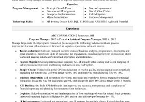 Manager Resume Sample Program Manager Resume Sample Monster Com