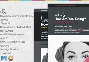 Market Responsive Newsletter with Template Builder Linus Responsive Newsletter with Template Builder