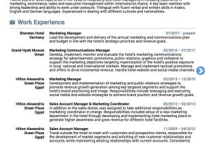 Marketing Manager Resume Sample 10 Real Marketing Resume Examples that Got People Hired at