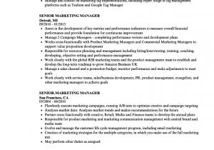 Marketing Manager Resume Sample 12 Cv Senior Apantherinafrica