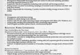 Marketing Manager Resume Sample Combination Resume Samples Resume Companion