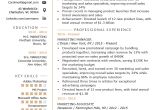 Marketing Manager Resume Sample Marketing Manager Resume Example Writing Tips Rg