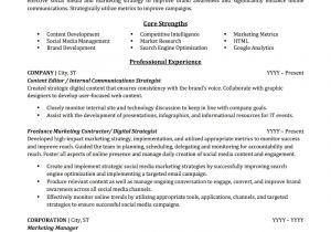 Marketing Professional Resume Advertising Marketing Resume Sample Professional