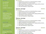 Marketing Professional Resume Free 17 Professional Resume Templates In Doc