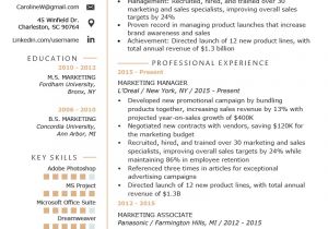 Marketing Professional Resume Marketing Manager Resume Example Writing Tips Rg