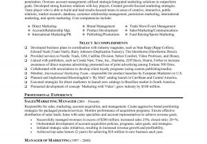 Marketing Professional Resume Marketing Resume Sample