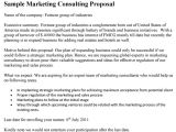 Marketing Services Proposal Template Marketing Consulting Proposal Template