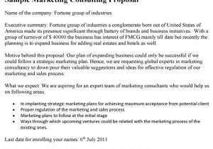 Marketing Services Proposal Template Marketing Consulting Proposal Template